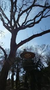 8074c5ba-5e2e-4da0-ae1e-7498f525ea29